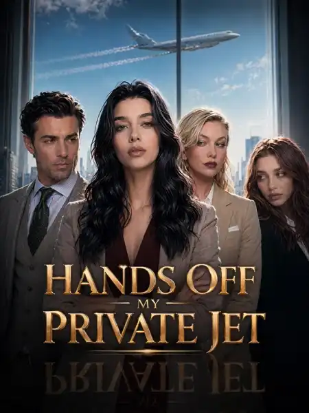 Hands Off My Private Jet<br>